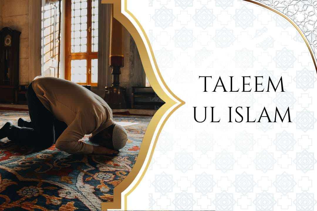 Taleem ul Islam Image