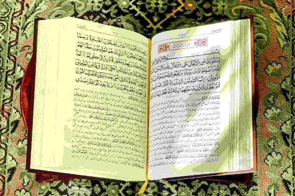 Quran Translation